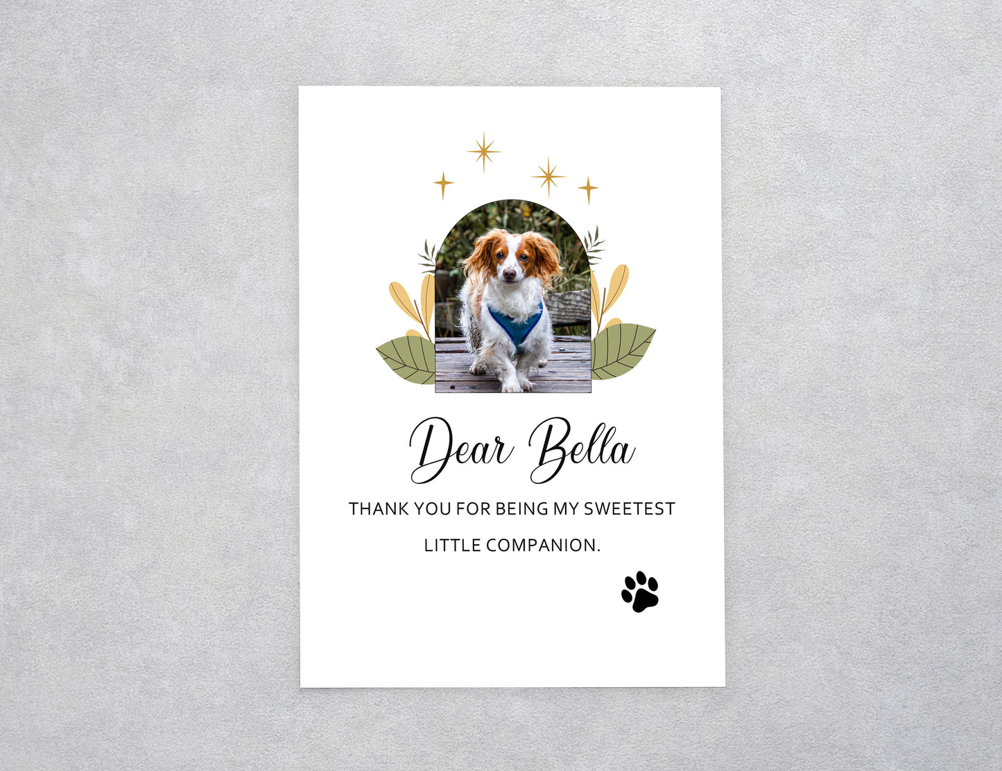 Floral Arch Custom Photo Pet Welcome Home Card