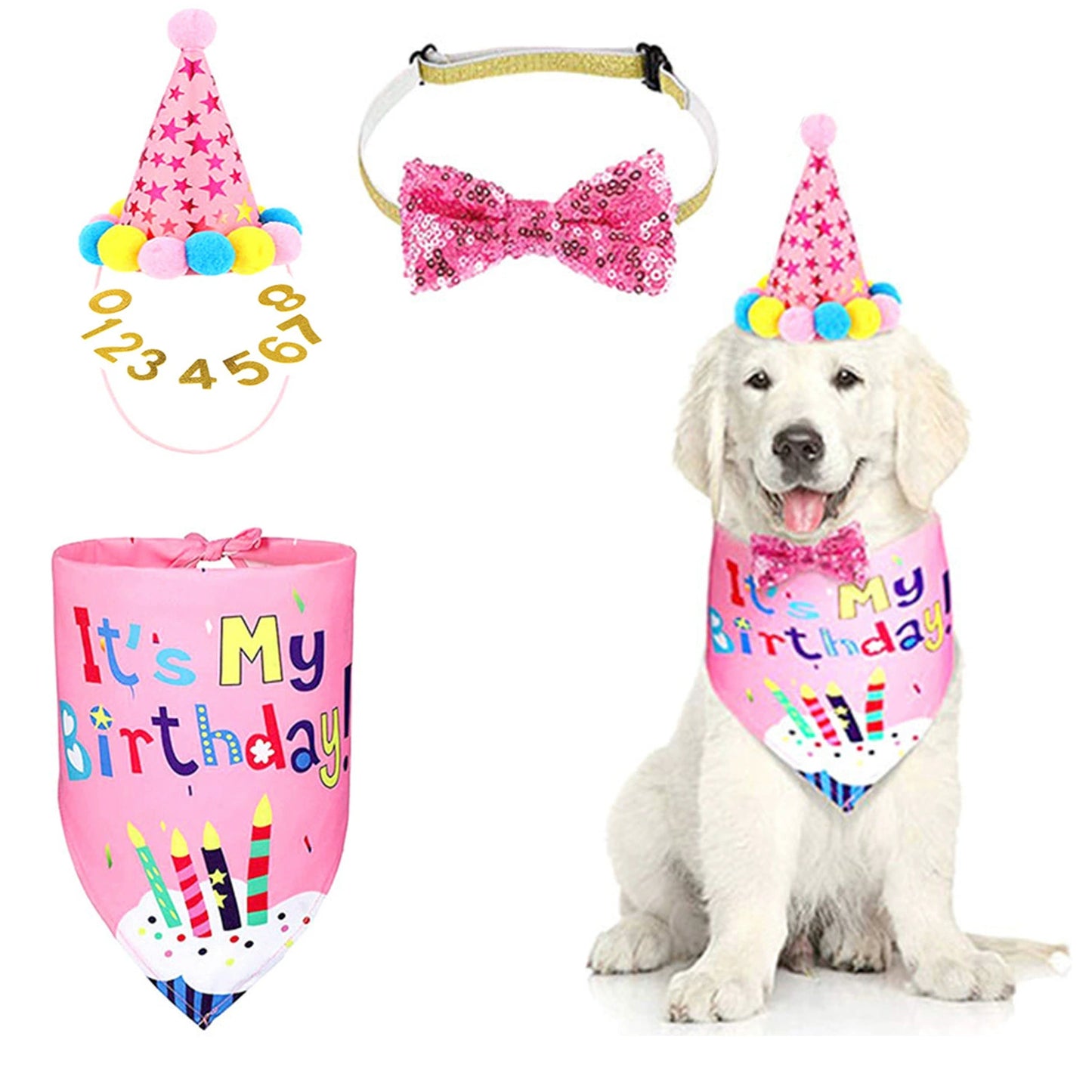 Pet Birthday 4-Piece Set – Bandana, Hat, Banner & Number Bunting
