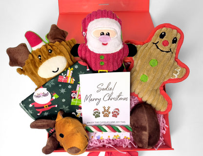 Personalized Christmas Pet Gift Box – Custom Greeting Card, Festive Toy Set & Holiday Bandana for Dogs & Cats (Medium Red Ribbon Box, 26×19×8cm)