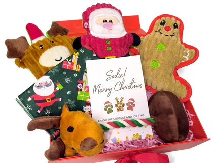 Personalized Christmas Pet Gift Box – Custom Greeting Card, Festive Toy Set & Holiday Bandana for Dogs & Cats (Medium Red Ribbon Box, 26×19×8cm)