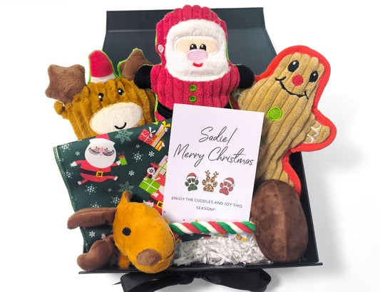 Personalized Christmas Pet Gift Box – Custom Greeting Card, Festive Toy Set & Holiday Bandana for Dogs & Cats (Medium Black Ribbon Box, 26×19×8cm)
