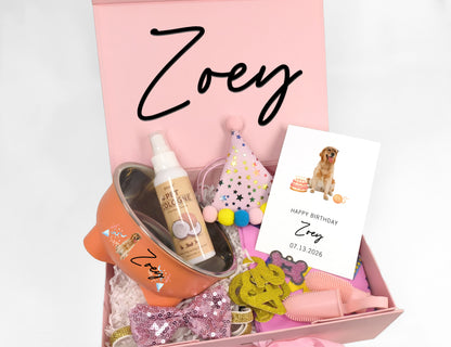 Custom Dog Birthday Party Box – Festive Grooming & Accessory Set