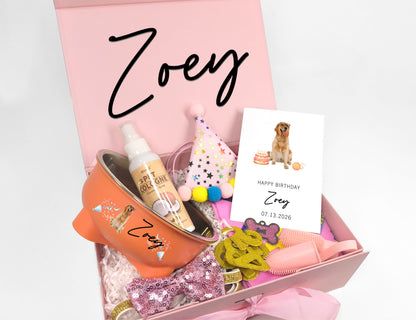 Custom Dog Birthday Party Box – Festive Grooming & Accessory Set