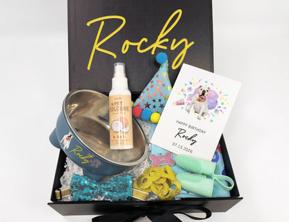 Custom Dog Birthday Party Box – Festive Grooming & Accessory Set