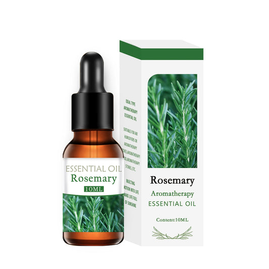 Rosemary Essential Oil – Refreshing Herbal Aromatherapy Oil, Invigorating & Focus-Boosting Scent, 10ml for Diffusers & Home Fragrance