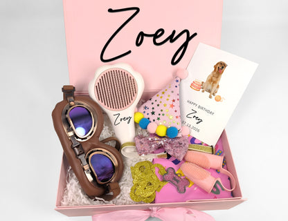 Custom Dog Birthday Adventure Gift Box
