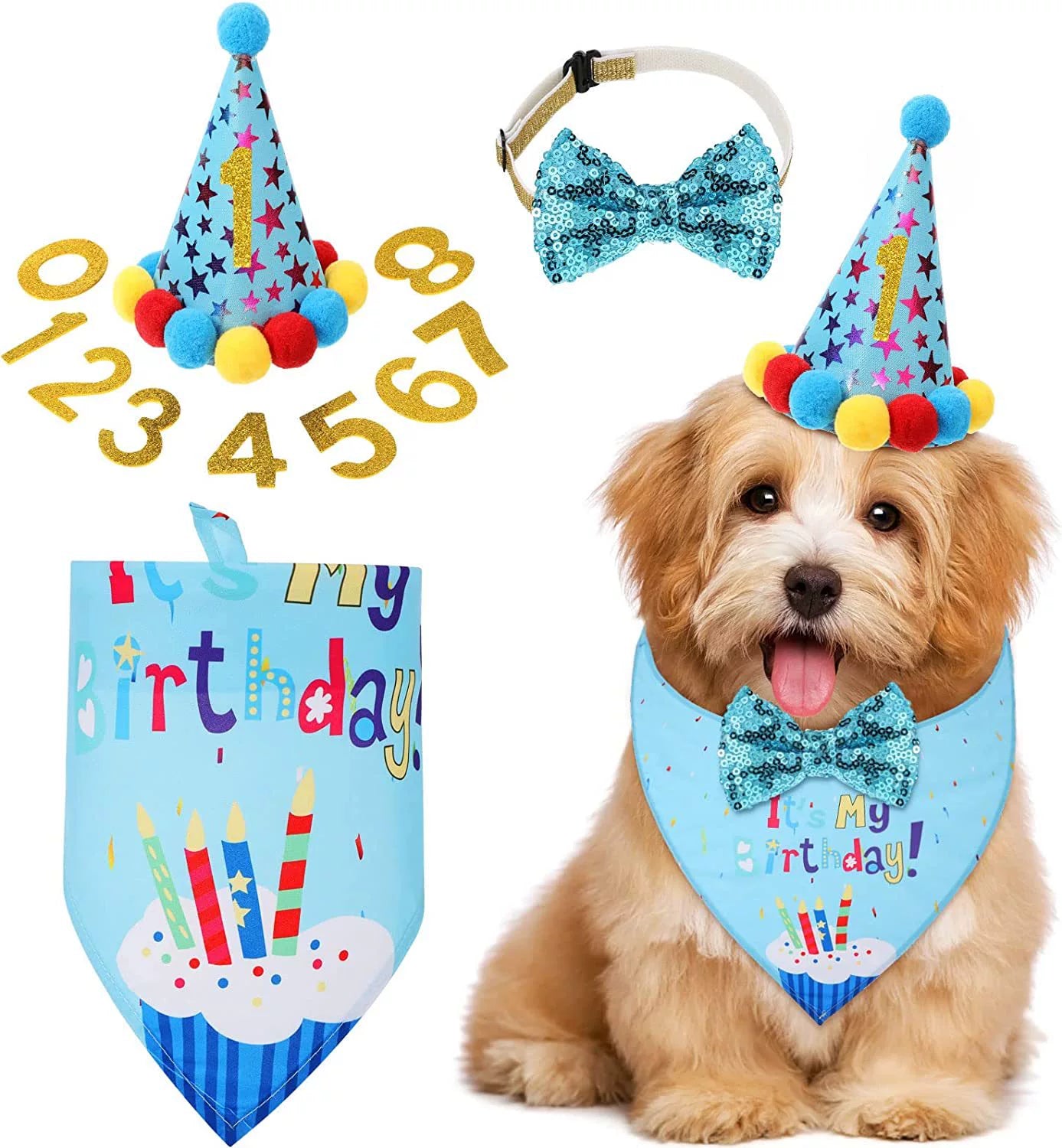 Pet Birthday 4-Piece Set – Bandana, Hat, Banner & Number Bunting