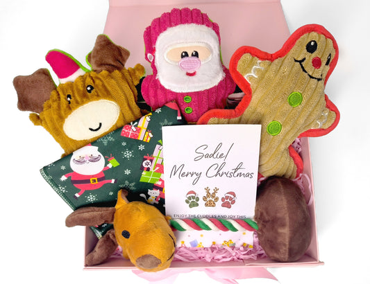Personalized Christmas Pet Gift Box – Custom Greeting Card, Festive Toy Set & Holiday Bandana for Dogs & Cats (Medium Pink Ribbon Box, 26×19×8cm)