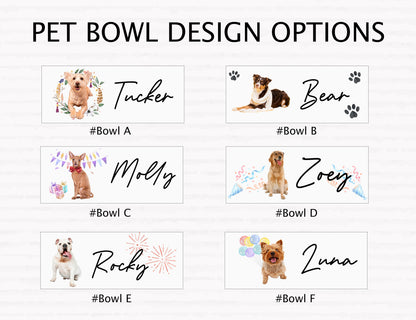 Custom Dog Welcome Home Essentials Gift Box