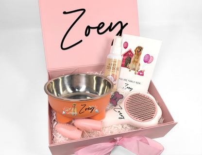 Custom Dog Welcome Home Essentials Gift Box