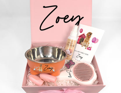 Custom Dog Welcome Home Essentials Gift Box