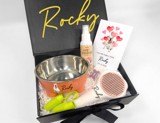 Custom Dog Welcome Home Essentials Gift Box