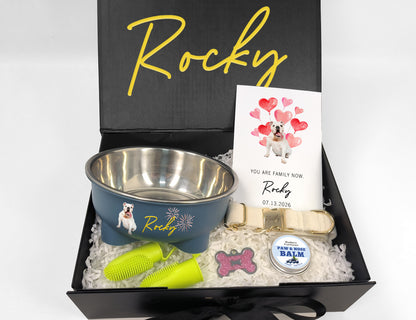 Custom Dog Welcome Home Collar & Care Gift Box