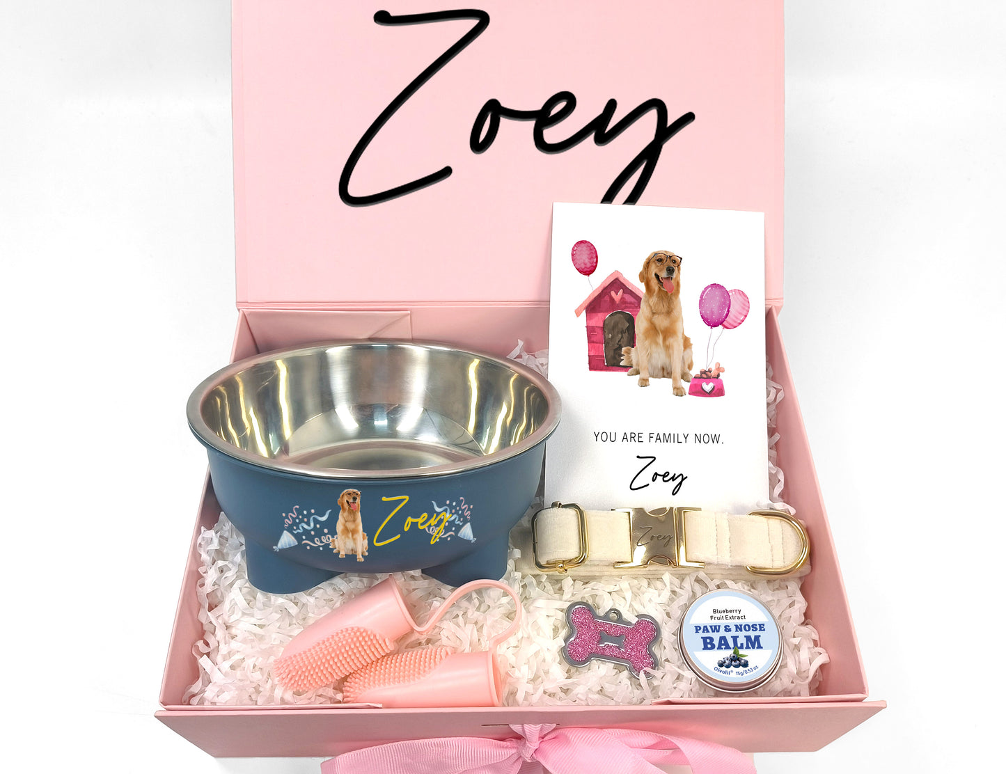 Custom Dog Welcome Home Collar & Care Gift Box