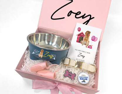 Custom Dog Welcome Home Collar & Care Gift Box