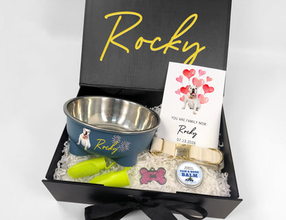 Custom Dog Welcome Home Collar & Care Gift Box