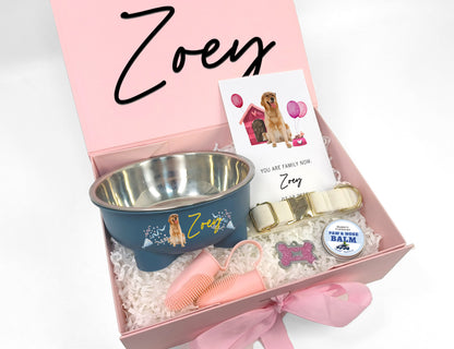 Custom Dog Welcome Home Collar & Care Gift Box