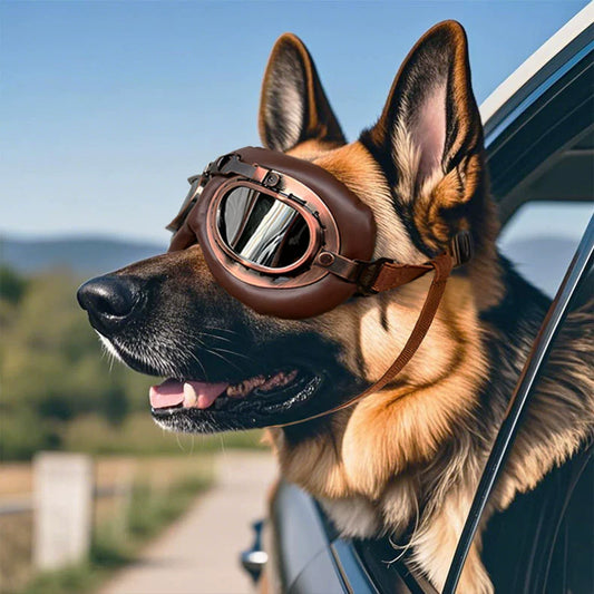 Vintage Pet Pilot Goggles (UV Protection) – Adjustable Strap & Comfort Cushion Pad